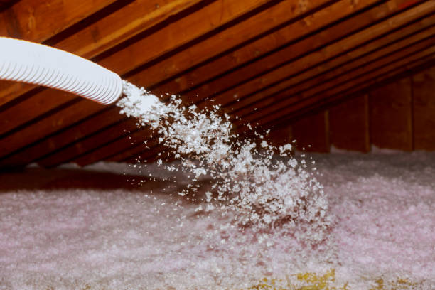 Best Eco-Friendly Insulation in Westmont, IL